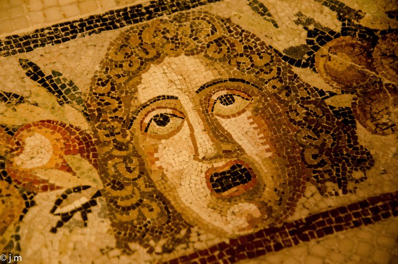 dallage Domus Romana.jpg